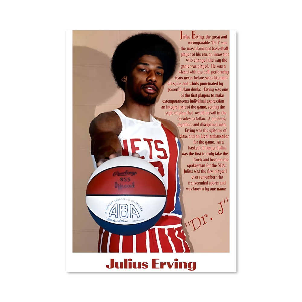 Poster L'Héritage du Dr. J. – affiche Basketball